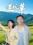 逆風(fēng)草